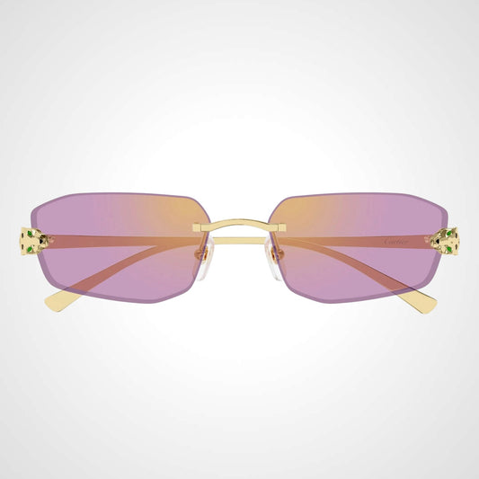 CT0474S 006 Cartier Sunglasses 2