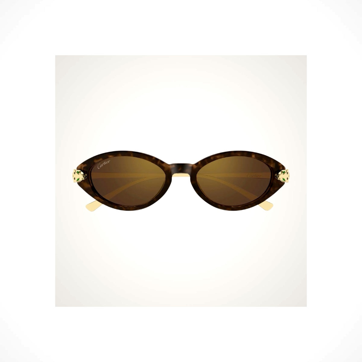 CT0634S 002 Cartier Sunglasses 