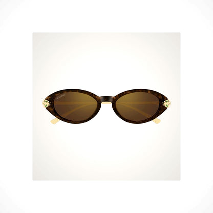 CT0634S 002 Cartier Sunglasses 