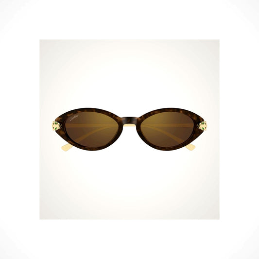 CT0634S 002 Cartier Sunglasses 
