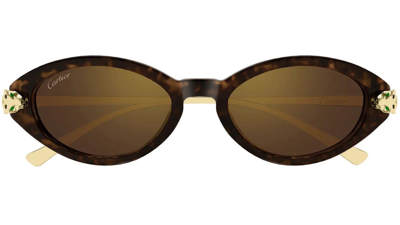 CT0634S 002 Cartier Brown Havana Cat Eye Panther Sunglasses  front frame 