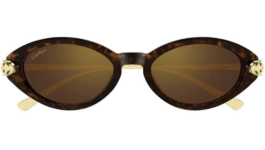 CT0634S 002 Cartier Brown Havana Cat Eye Panther Sunglasses  front frame 
