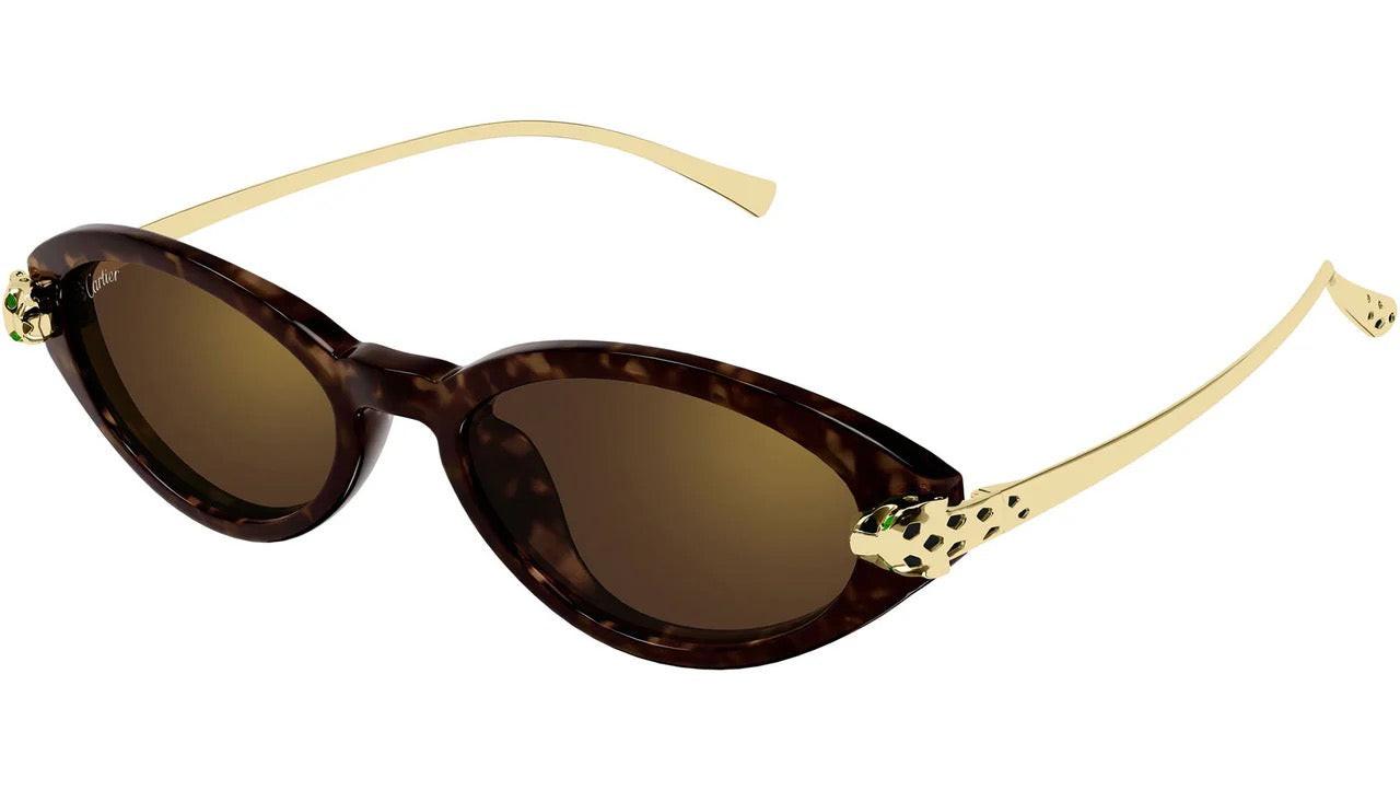 CT0634S 002 Cartier Brown Havana Cat Eye Panther Sunglasses  