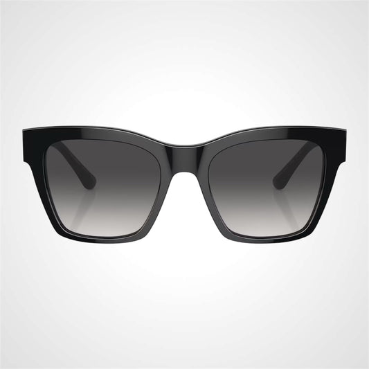 DG4384 501/8G Dolce & Gabbana front view black sunglasses for women 
