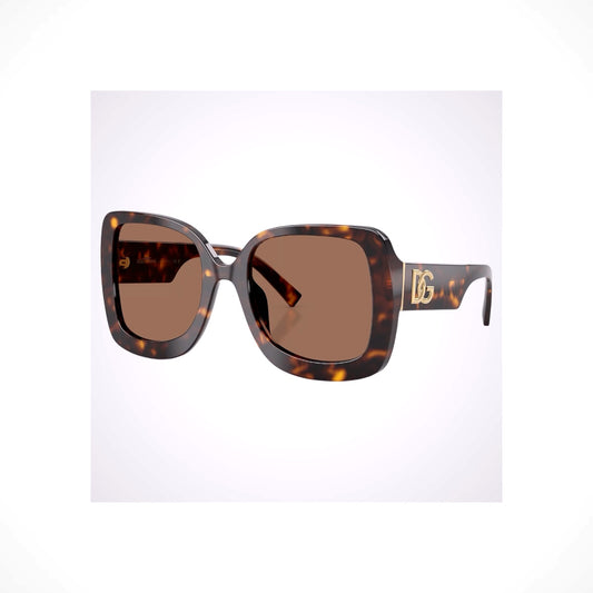 DG4513 502/73 Dolce & Gabbana Brown Oversized Sunglasses 