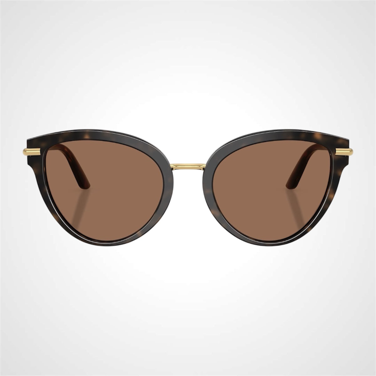 Dolce & Gabbana DG4492 321713 sunglasses classic interior front view 
