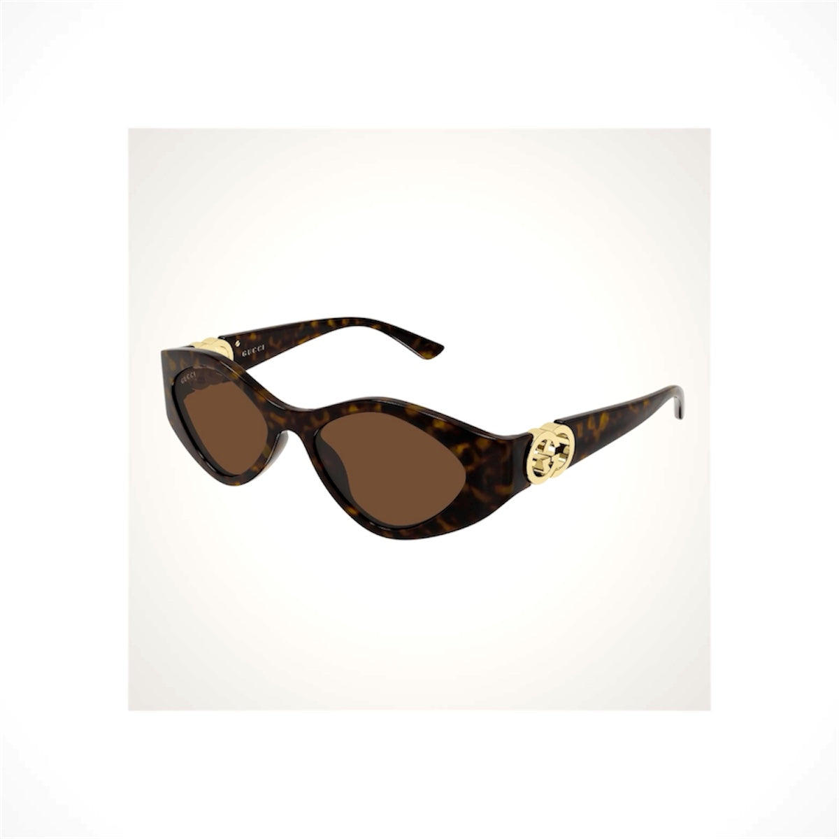 Gucci GG2121S 003 women's brown Havana oval cat-eye sunglasses