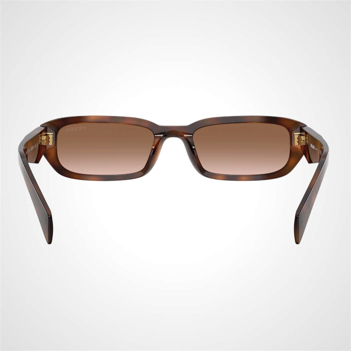 PRADA Sunglasses PR B06S 20D90P Root Tortoise