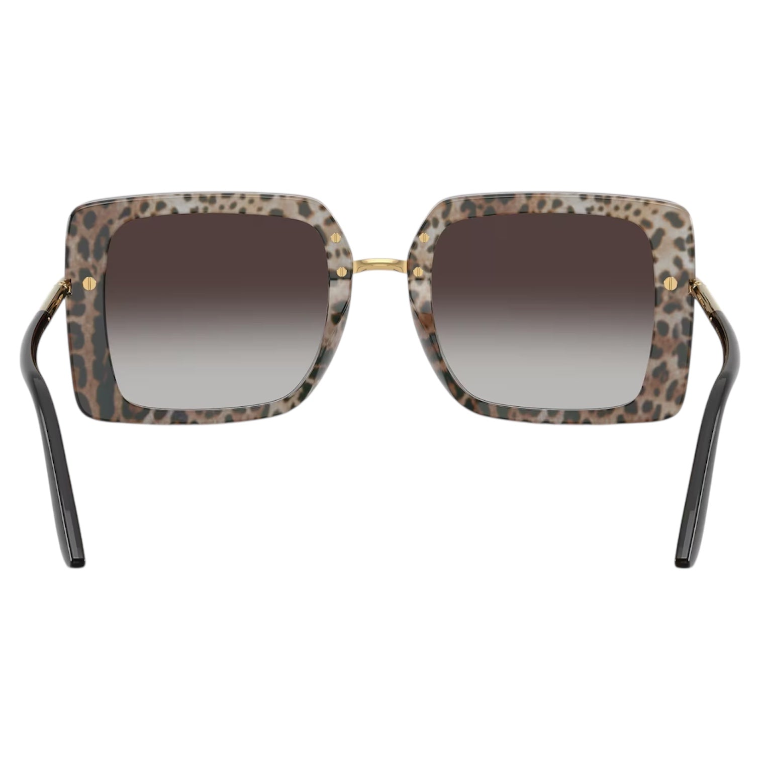 DG4491 32998G Dolce & Gabbana Sunglasses 