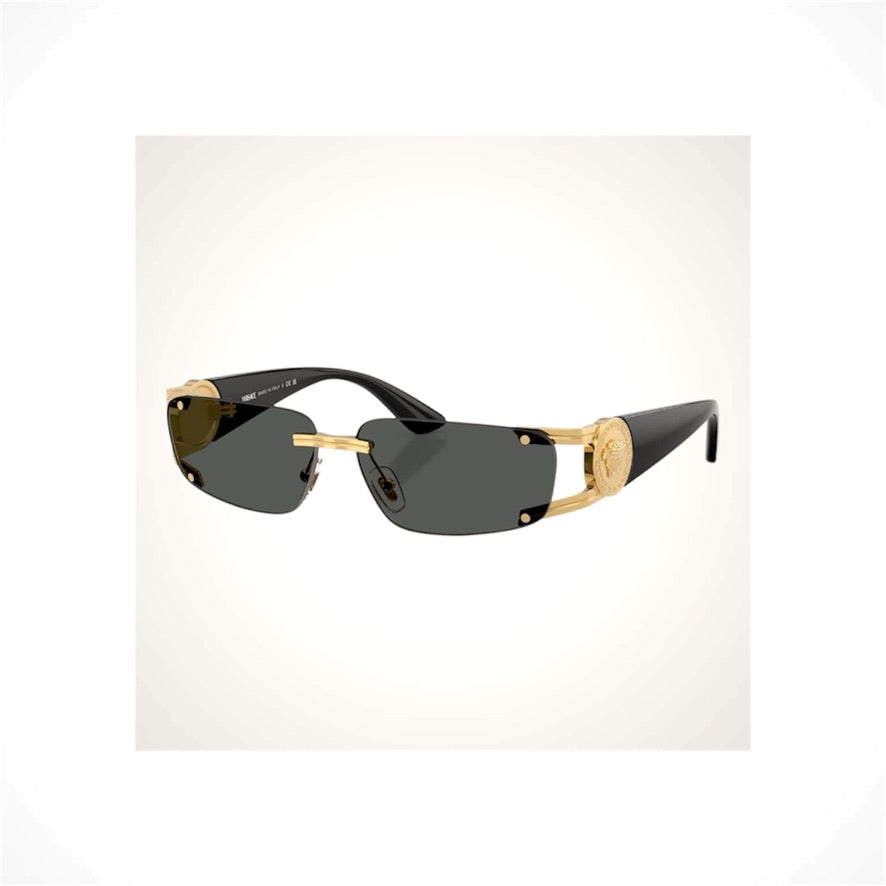 VE2291 100287 Versace Sunglasses 