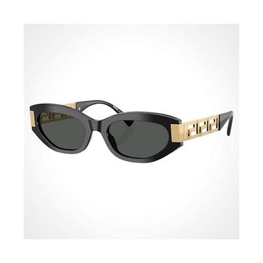 VE4501 Versace Sunglasses 